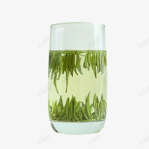 竹叶青茶 鲜活草本滋补，至美容颜的绿茶之选